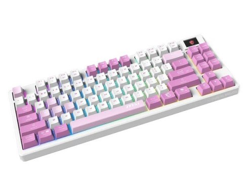 Klawiatura gamingowa Forge GK600 TKL W Violet US