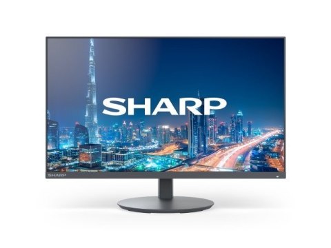 Monitor MultiSync DD-E224F 22 Czarny