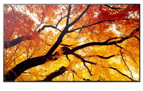 Monitor wielkoformatowy MultiSync M502 50 cali 550cd/m2 24/7