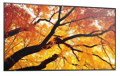 Monitor wielkoformatowy MultiSync M502 50 cali 550cd/m2 24/7