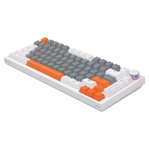 Klawiatura magnetyczna ASTRAL White OUTEMU White jade RGB 3 kolory keycapów