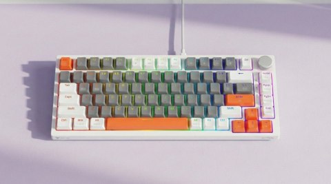 Klawiatura magnetyczna ASTRAL White OUTEMU White jade RGB 3 kolory keycapów