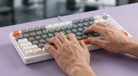 Klawiatura magnetyczna ASTRAL White OUTEMU White jade RGB 3 kolory keycapów
