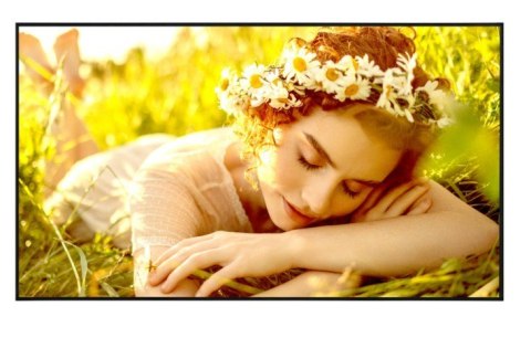 Monitor wielkoformatowy 75UL5Q-E 500cd/m2 UHD 24/7