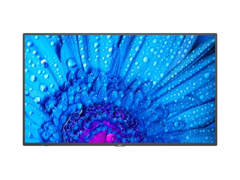 Monitor wielkoformatowy 43 cale MultiSync M431 UHD 500cd/m2 24/7 Monitor wielkoformatowy 43 cale MultiSync M431 UHD 500cd/m2 24/7